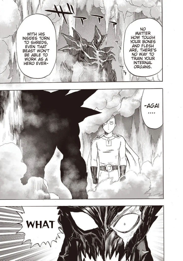 One Punch Man Chapter 163 | Read Full Online Manga 22 one punch man ch163 page22